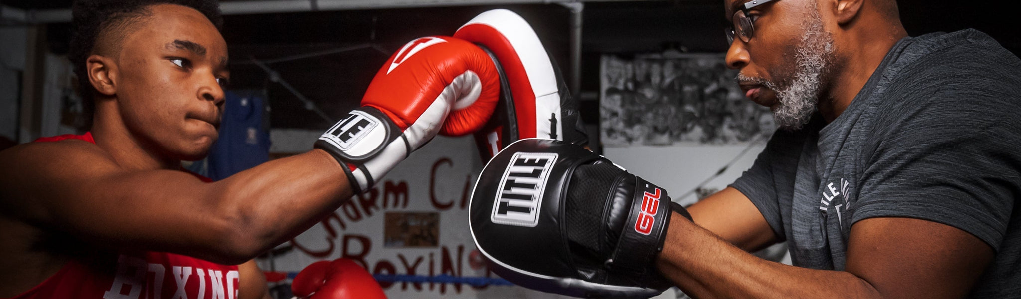 Punch Mitts