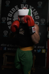 variant:Blank White/Green/Red::TITLE Boxing USA Boxing Competition Headgear - With Cheeks boxing pose