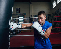 Fighting Fury Professional Training Boxing Gloves