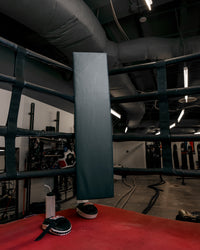 variant:Black::TITLE Boxing Blank Jumbo Corner Cushion V3.0 – Single in ring