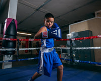 variant:blue/white::TITLE Boxing Aerovent Elite Amateur Boxing Set Original 2.0 kid right hook