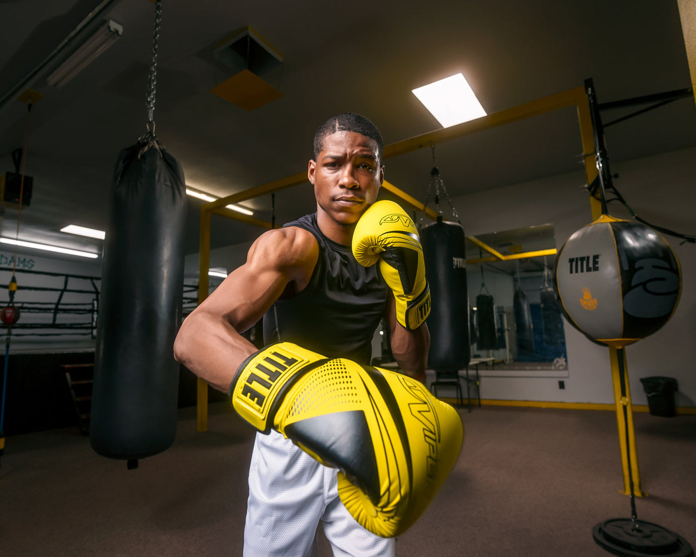 Viper by TITLE Boxing Strike Select Bag Boxing Gloves 2.0