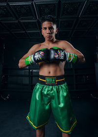 variant:black/green::WBC by TITLE Boxing Pro Fight Leather Gloves hands together