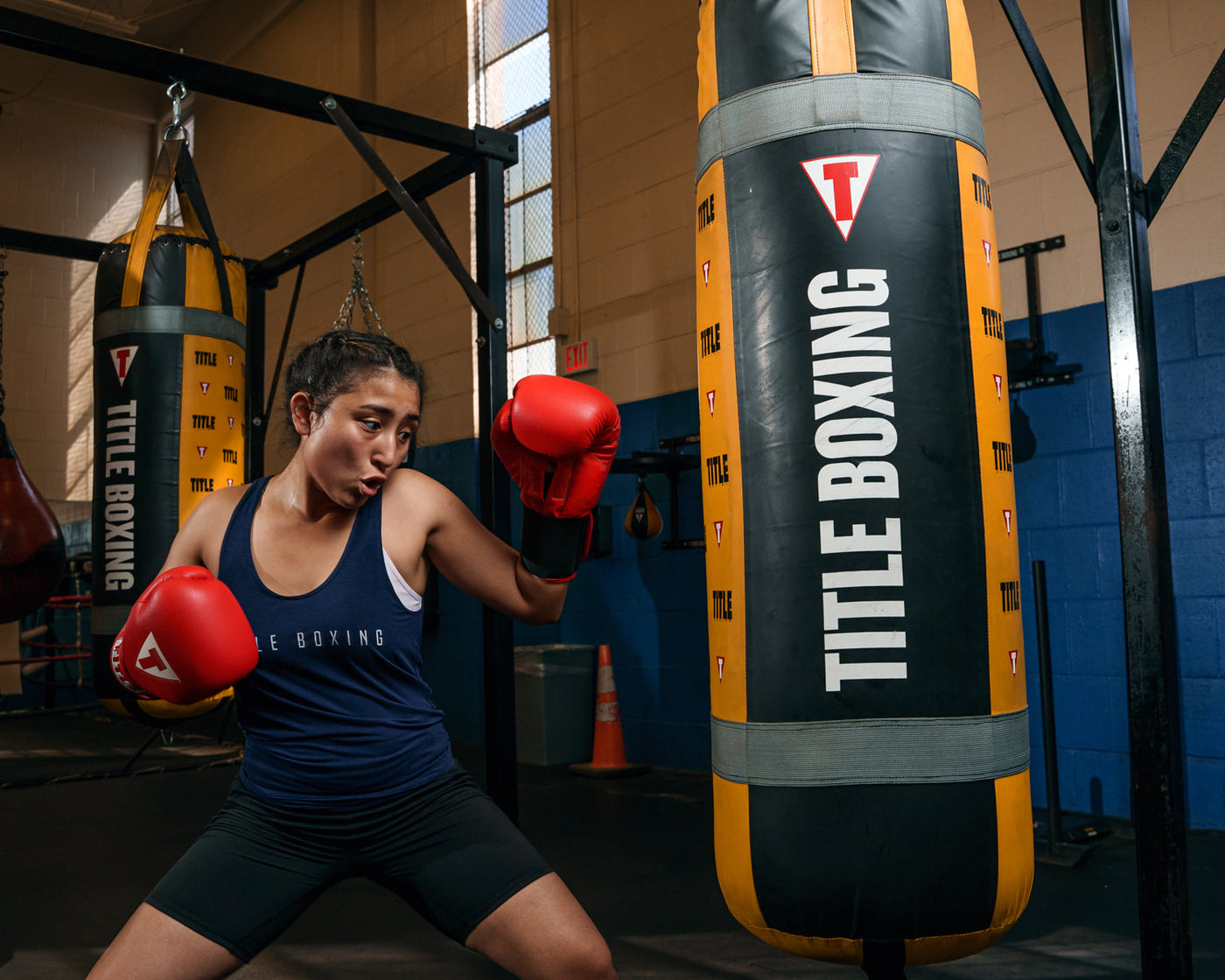 TITLE Boxing Wall Mount Menace Training Bag