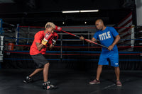 TITLE Boxing Gladiator Stick