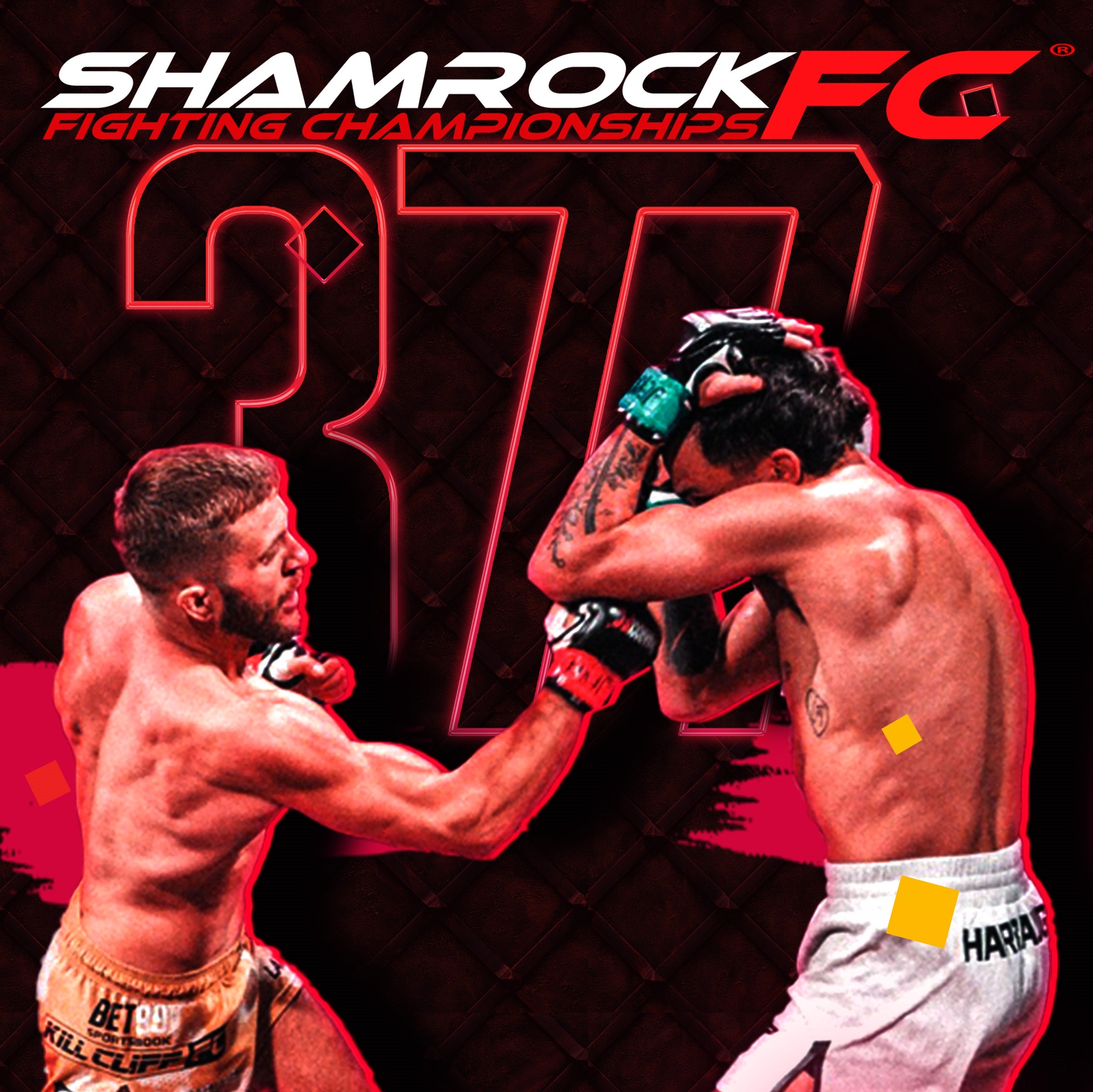 Shamrock FC 377