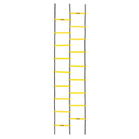 TITLE Boxing Double Speed & Agility Ladder 2.0
