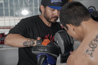 variant:lifestyle::TITLE Boxing Ionic Strike Punch Mitts